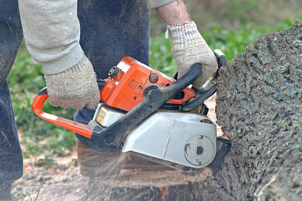 Best Firewood Processing and Delivery  in Sulphur, OK